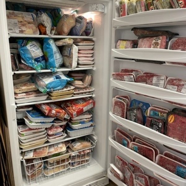 June full fridge